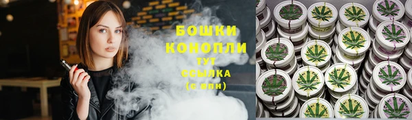 гашик Белокуриха