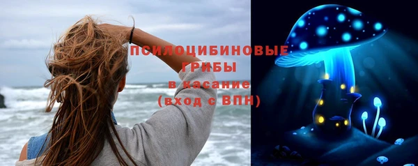 гашик Белокуриха