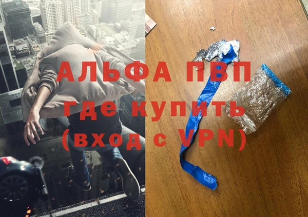 гашик Белокуриха