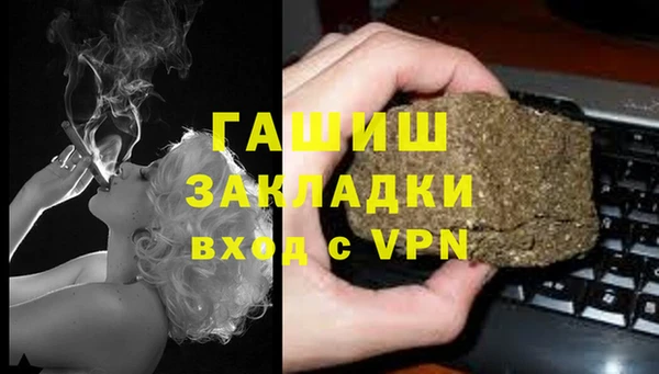 гашик Белокуриха